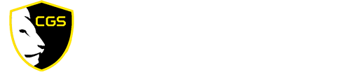coolgamingseries.com